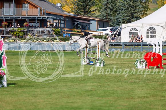 2025 - Shea - Fall Finale - Sunday September 14th - 07633