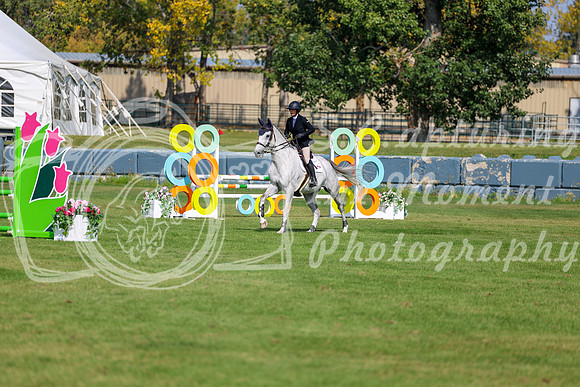 2025 - Shea - Fall Finale - Sunday September 14th - 07636