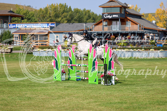 2025 - Shea - Fall Finale - Sunday September 14th - 07644