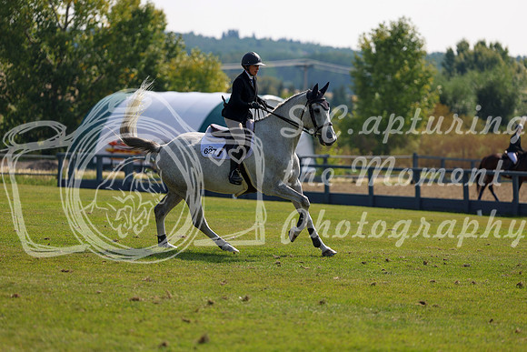 2025 - Shea - Fall Finale - Sunday September 14th - 07678
