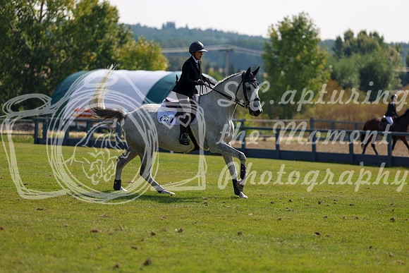 2025 - Shea - Fall Finale - Sunday September 14th - 07679