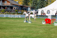 2025 - Shea - Fall Finale - Sunday September 14th - 07709