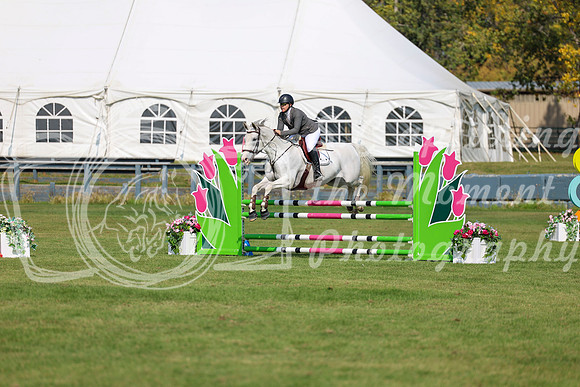 2025 - Shea - Fall Finale - Sunday September 14th - 07715