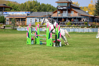 2025 - Shea - Fall Finale - Sunday September 14th - 07718