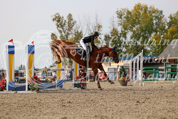 2025 - Mara - Fall Finale - Sunday September 14th - 16126