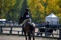 2025 - MJ - Fall Finale - Sunday September 14th - 17068