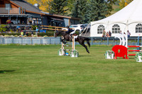 2025 - Shea - Fall Finale - Sunday September 14th - 08996