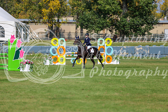 2025 - Shea - Fall Finale - Sunday September 14th - 09001
