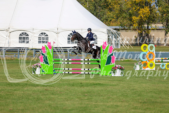 2025 - Shea - Fall Finale - Sunday September 14th - 09002