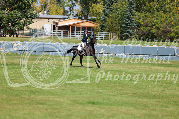 2025 - Shea - Fall Finale - Sunday September 14th - 09065