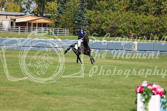 2025 - Shea - Fall Finale - Sunday September 14th - 09068
