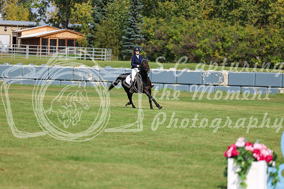 2025 - Shea - Fall Finale - Sunday September 14th - 09069