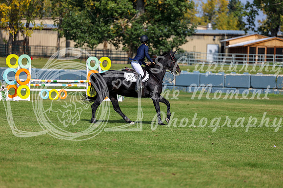 2025 - Shea - Fall Finale - Sunday September 14th - 07884