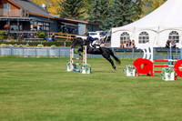 2025 - Shea - Fall Finale - Sunday September 14th - 07887