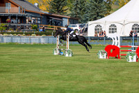 2025 - Shea - Fall Finale - Sunday September 14th - 07888