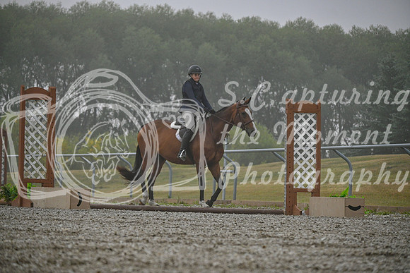 2025 - Petra - Harvest Horse Show - Sunday, September 14th 09307
