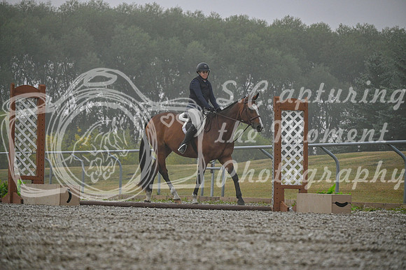 2025 - Petra - Harvest Horse Show - Sunday, September 14th 09309