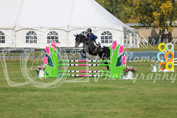 2025 - Shea - Fall Finale - Sunday September 14th - 07893