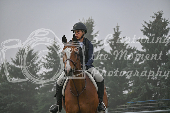 2025 - Petra - Harvest Horse Show - Sunday, September 14th 09310
