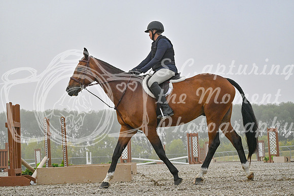 2025 - Petra - Harvest Horse Show - Sunday, September 14th 09311