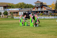 2025 - Shea - Fall Finale - Sunday September 14th - 07902