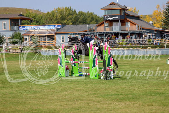 2025 - Shea - Fall Finale - Sunday September 14th - 07902