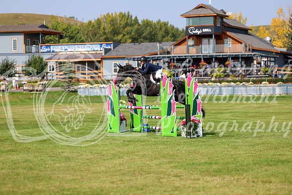 2025 - Shea - Fall Finale - Sunday September 14th - 07903