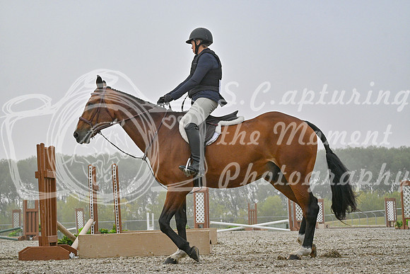 2025 - Petra - Harvest Horse Show - Sunday, September 14th 09313