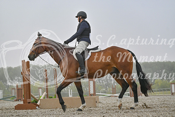 2025 - Petra - Harvest Horse Show - Sunday, September 14th 09314