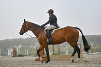 2025 - Petra - Harvest Horse Show - Sunday, September 14th 09315