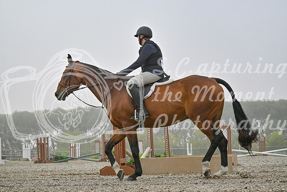 2025 - Petra - Harvest Horse Show - Sunday, September 14th 09315