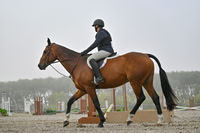 2025 - Petra - Harvest Horse Show - Sunday, September 14th 09316