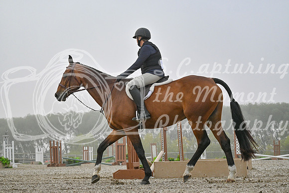 2025 - Petra - Harvest Horse Show - Sunday, September 14th 09316