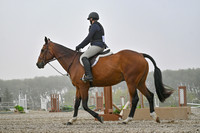 2025 - Petra - Harvest Horse Show - Sunday, September 14th 09318