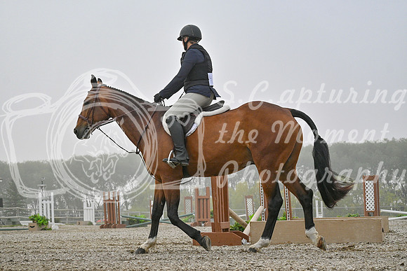 2025 - Petra - Harvest Horse Show - Sunday, September 14th 09318
