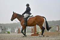 2025 - Petra - Harvest Horse Show - Sunday, September 14th 09319