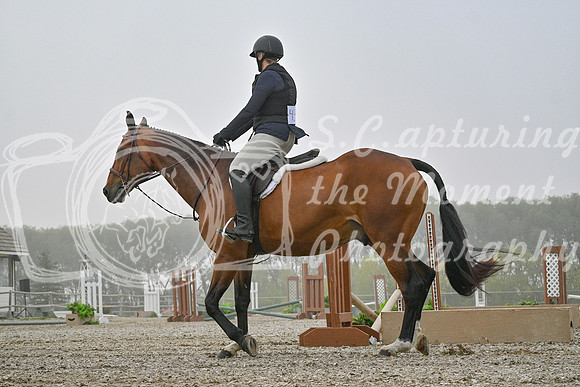 2025 - Petra - Harvest Horse Show - Sunday, September 14th 09319