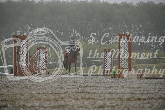 2025 - Petra - Harvest Horse Show - Sunday, September 14th 09321