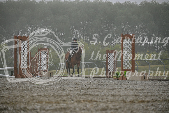 2025 - Petra - Harvest Horse Show - Sunday, September 14th 09322