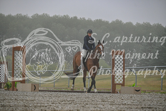 2025 - Petra - Harvest Horse Show - Sunday, September 14th 09328