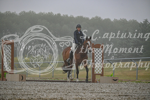 2025 - Petra - Harvest Horse Show - Sunday, September 14th 09331
