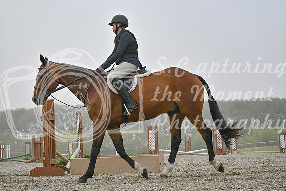 2025 - Petra - Harvest Horse Show - Sunday, September 14th 09332