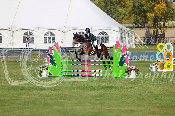 2025 - Shea - Fall Finale - Sunday September 14th - 07991