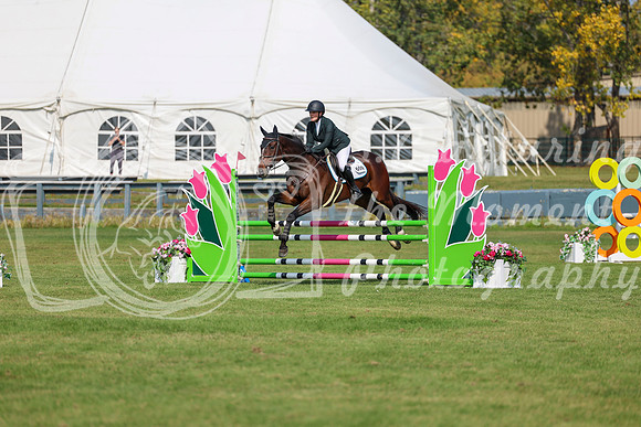 2025 - Shea - Fall Finale - Sunday September 14th - 07993