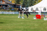 2025 - Shea - Fall Finale - Sunday September 14th - 08967