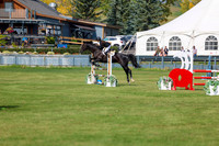 2025 - Shea - Fall Finale - Sunday September 14th - 08968
