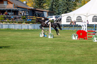 2025 - Shea - Fall Finale - Sunday September 14th - 08969