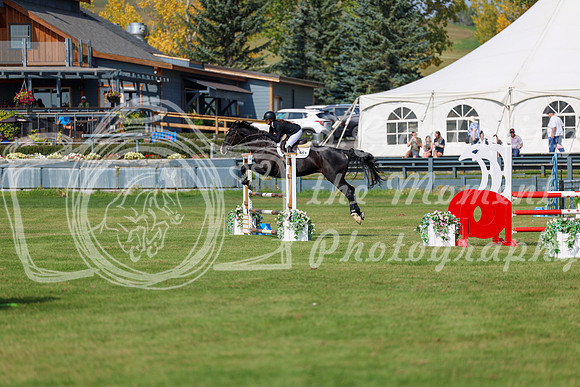 2025 - Shea - Fall Finale - Sunday September 14th - 08986