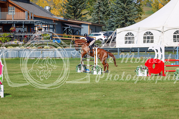 2025 - Shea - Fall Finale - Sunday September 14th - 07163