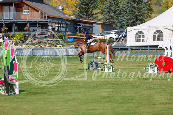 2025 - Shea - Fall Finale - Sunday September 14th - 07168